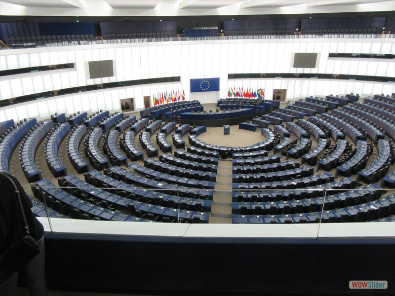 56 European Parliament